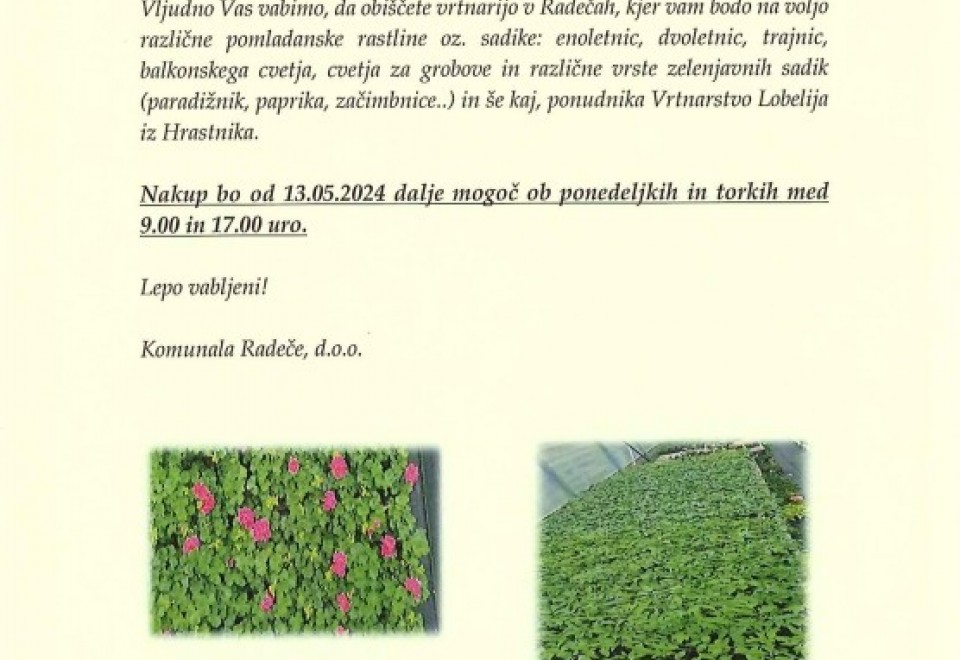 Vrtnarija v Radečah odpira svoja vrata.