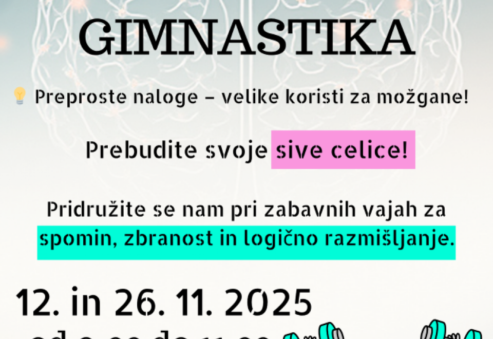 Možganska gimnastika v VGC Radeče