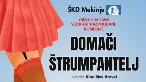 23.1.2026 - 19.00 - Abonma odrasli: Domači štrumpantelj