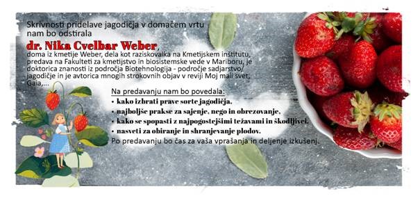Jagodicevje Jagodicevje